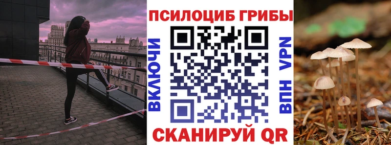 как найти наркотики  Чёрмоз  shop какой сайт  Галлюциногенные грибы Psilocybine cubensis 